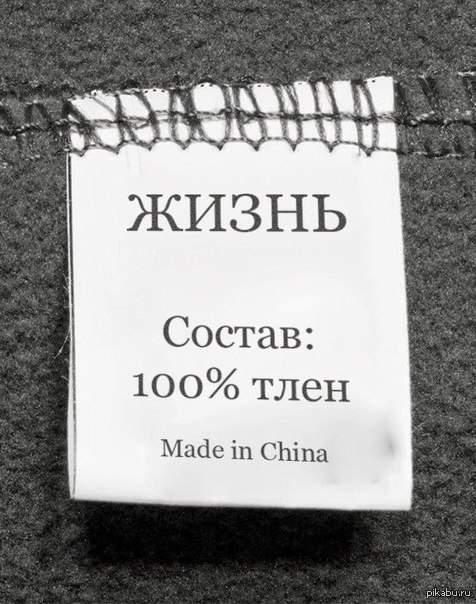 Тлен... | Пикабу