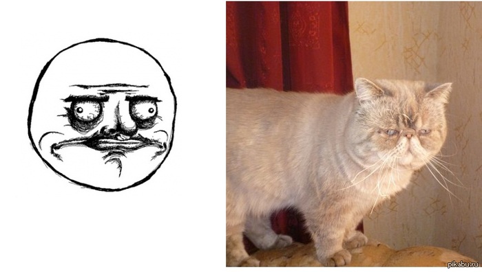 Решил посмотреть объявления на авито...