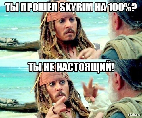 Skyrim 100%