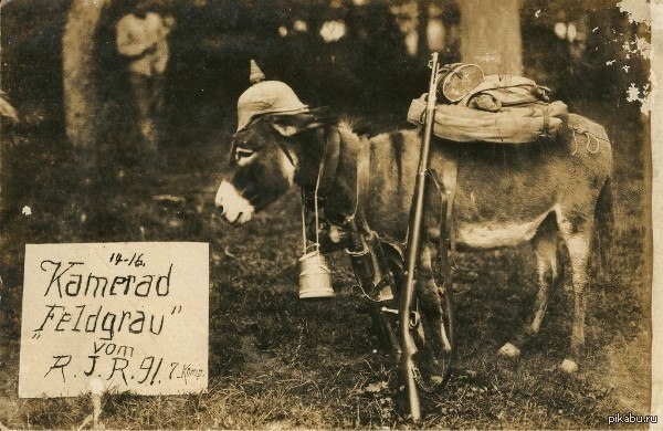   1916 
