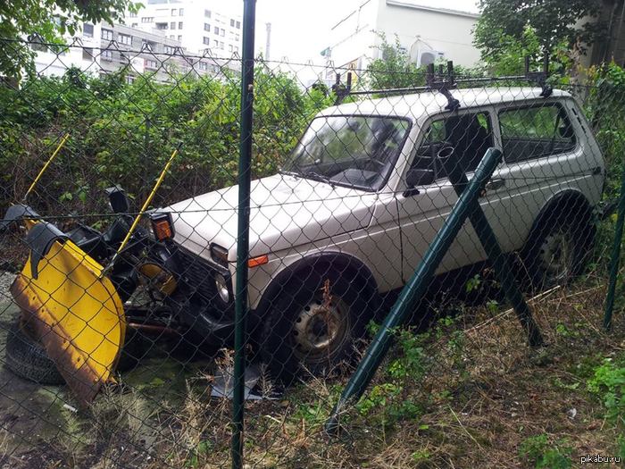 зальцбург. австрия. нива.