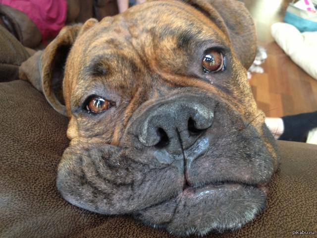 �� ������ ��� � �����, �������, �������� ������ ���������� ��� ������ �����..