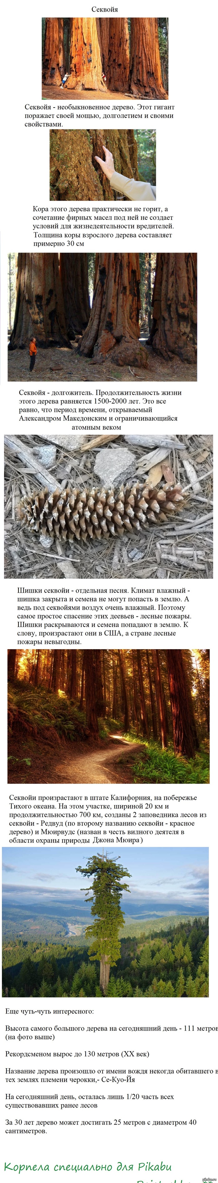 Немного длиннопост