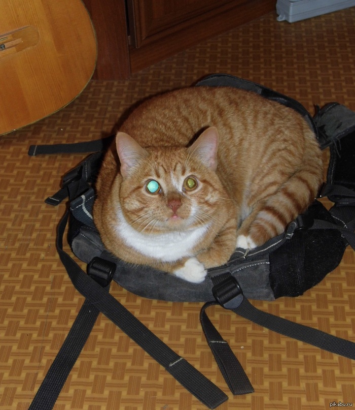 ����� ������� ��������� �� ����������� ������������ �� ����� ������ �������?