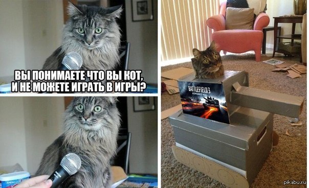 Кот мем игра. Коты мемы. Смешные мемы с котом. Кот Мем. Классные мемы с котиками.