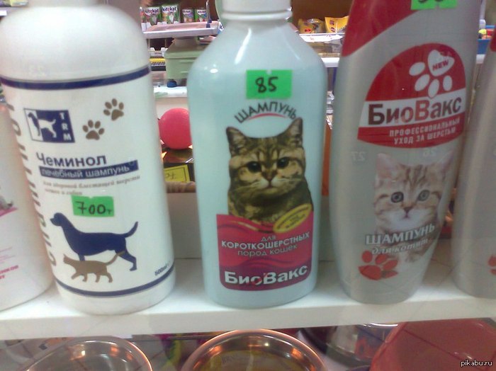 ����� � �������, � ���...