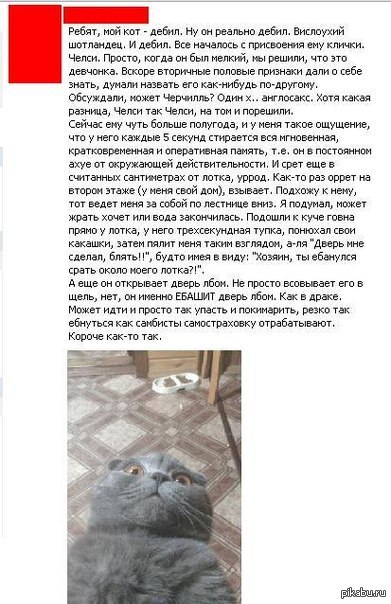 ��� ����� ;D