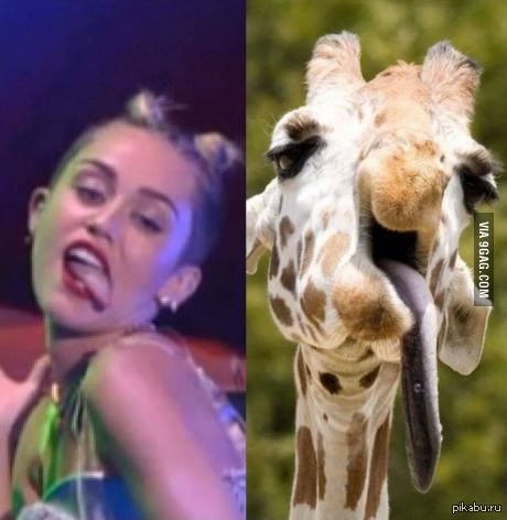 &quot; ,      .&quot;