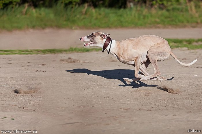 Когда проспал....
