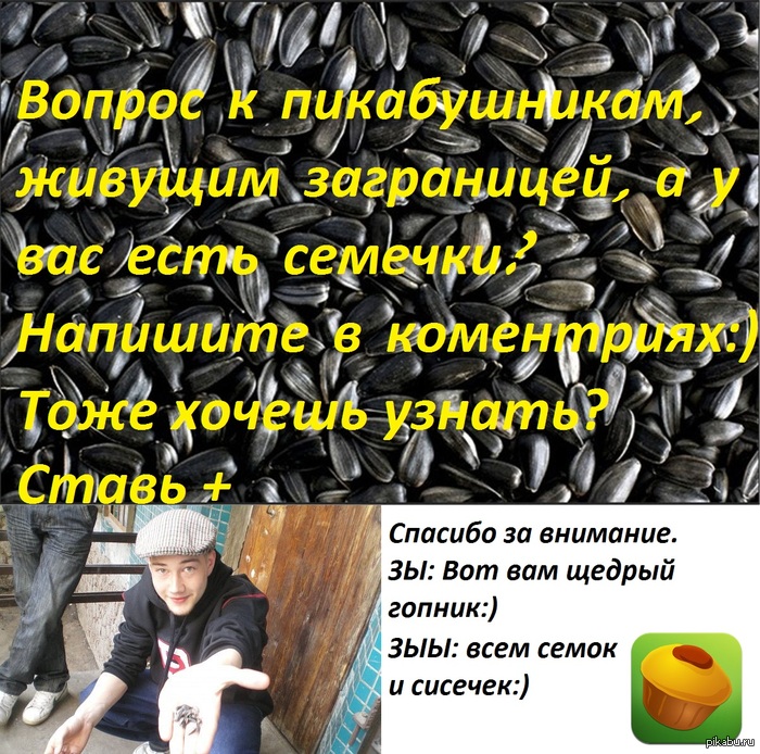 ������ � ������������-�������������