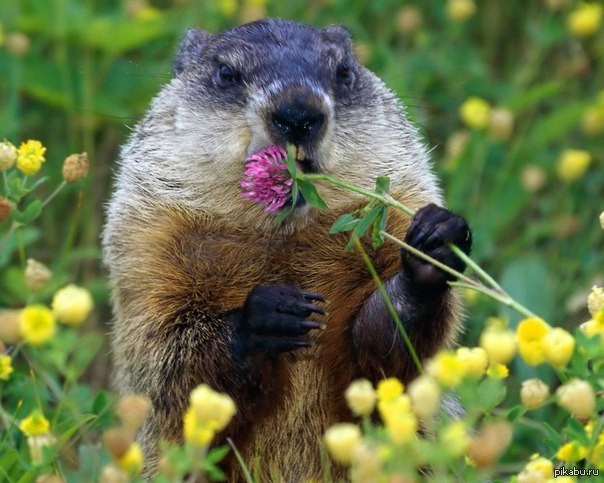 А давайте напишем смс совсем незнакомому человеку и пожелаем приятностей разного рода...