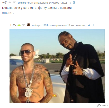 Комментарии к посту о нужде отдать щенка "без понтов"