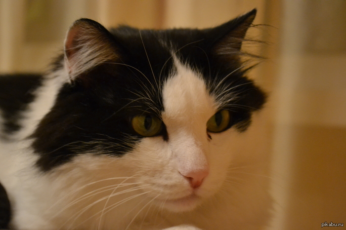 ��� �������. ����� ������