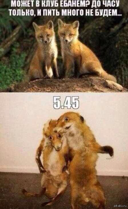 ����� ���������