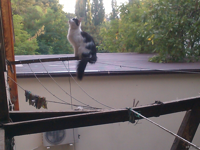 ����� �����, �� ������ ����� ���� �������� ��� ����� �����-���� �������� ��� �������� �� �����.