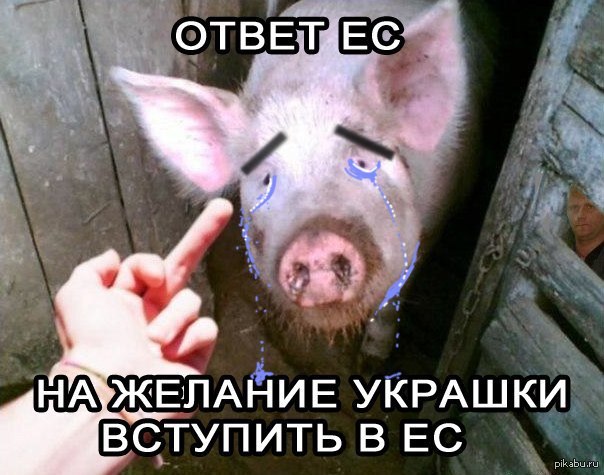 Смешной хряк