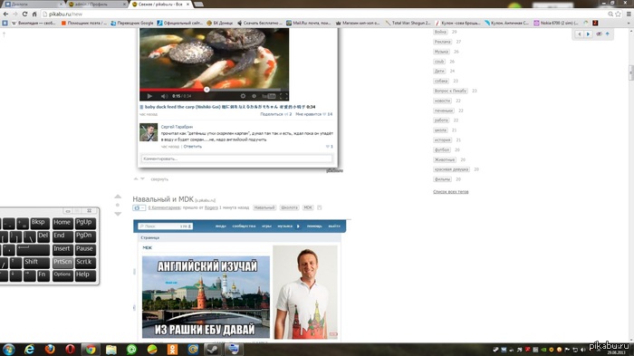 ����������)