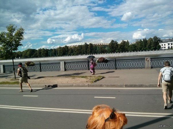 Показалось