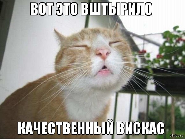 ������������� ��������