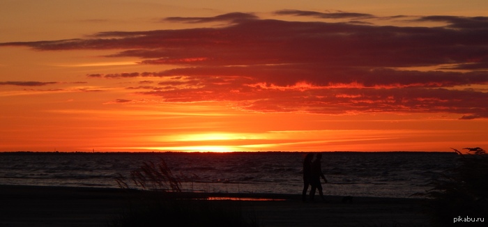 ������������ �������