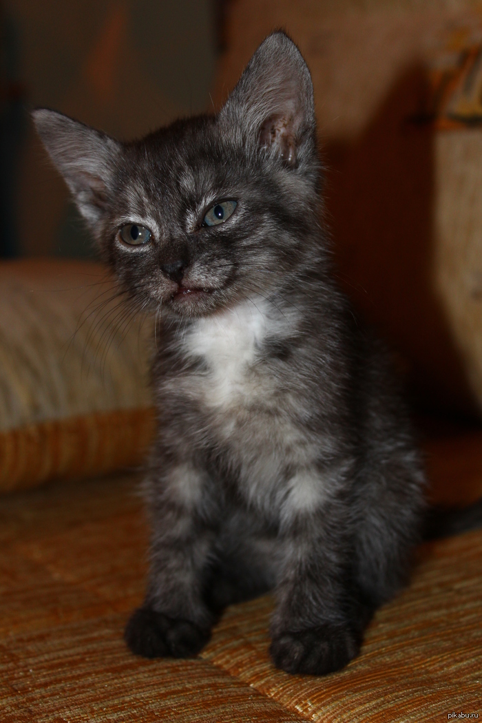 ����� ���� � ������ ����!