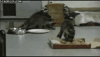 ����� ���� ����� �����!