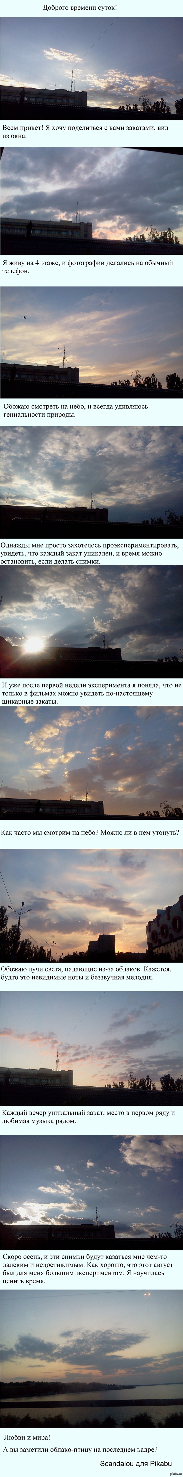 ��� �����������: ����