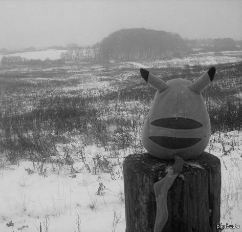 ��� � ��������� ���� ���� 2013....