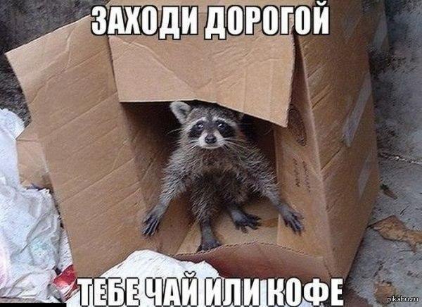 Чай или кофе?