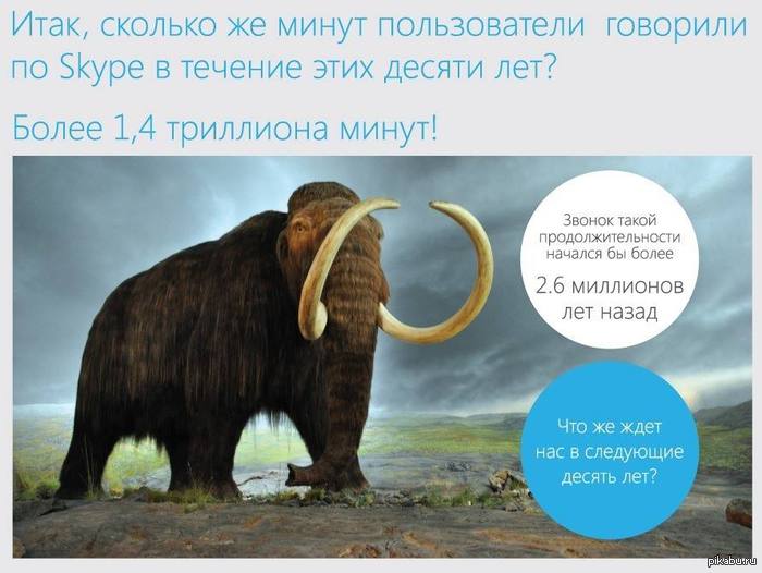 Skype 10 ���, ��������� ����