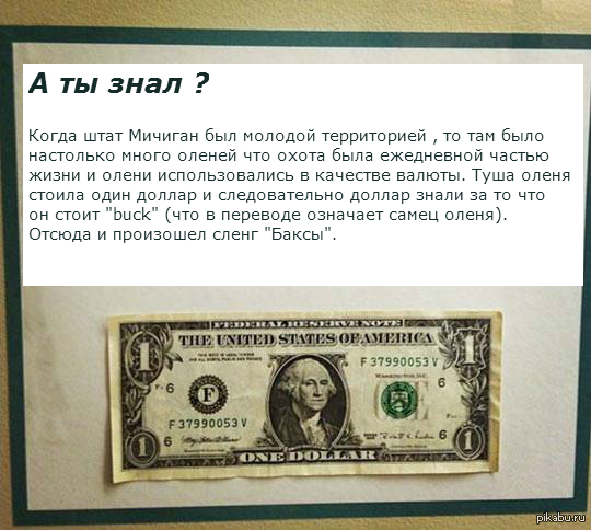 Почему доллар дороже рубля. Как выглядит валюта Баксы. 13 Баксов в долларах.