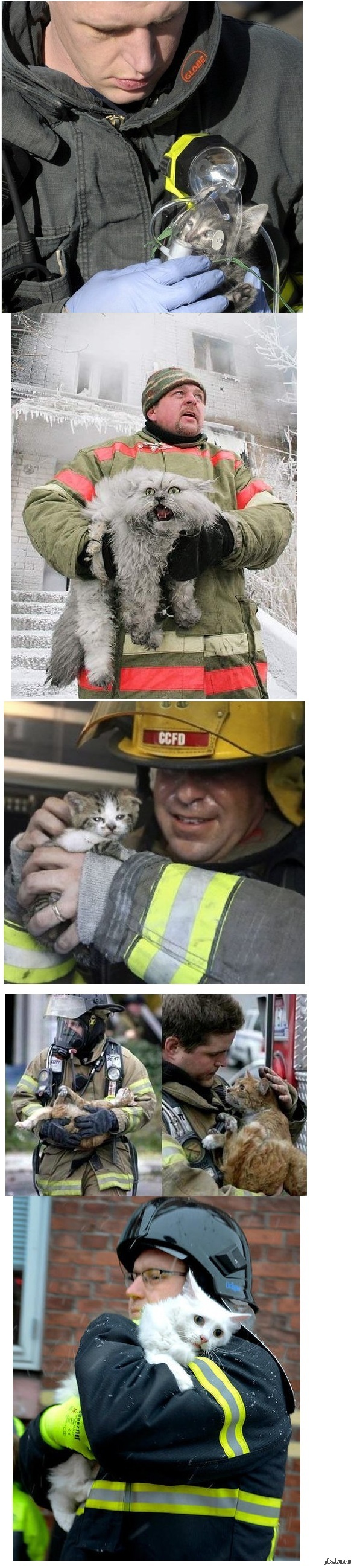 ��������� � ������