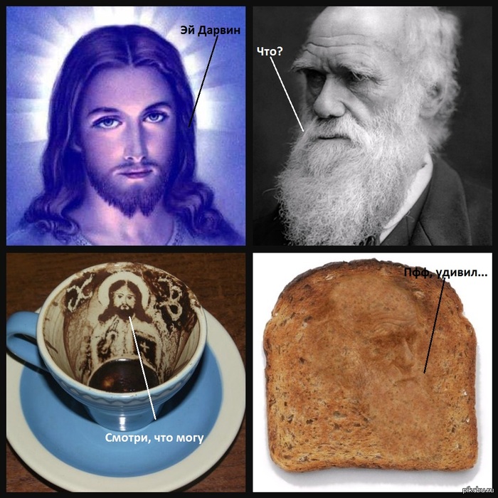 Дарвин пришел к нам на куске хлеба