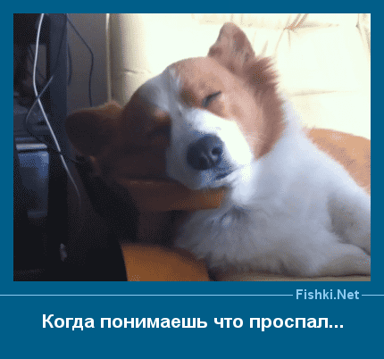 상업지 Imgur