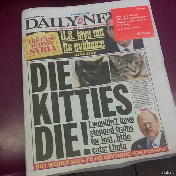 Daily News � �������� ������, ��������!