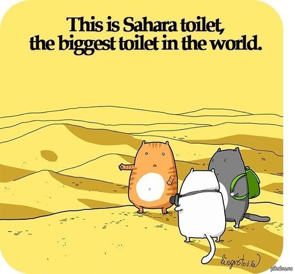 "��� ������ ������,   ����� ������� ������ � ����"