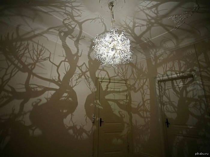 But comment. Just super - NSFW, My, Chandelier, Forest, Tree