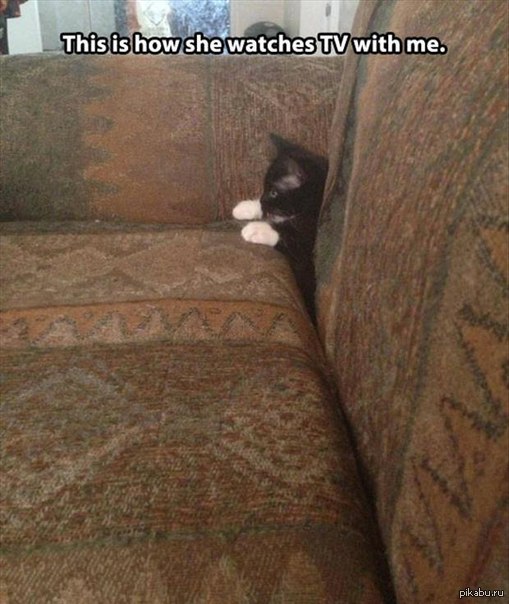 &quot;       &quot;.