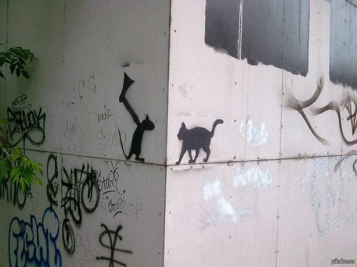 ������� ��� � �������.