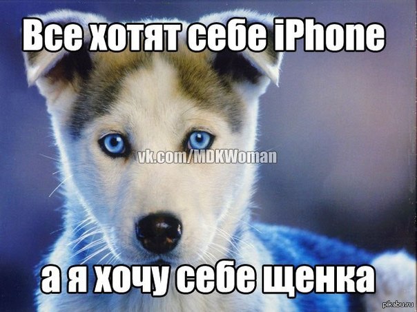 Одноклассница добавила эту фотку