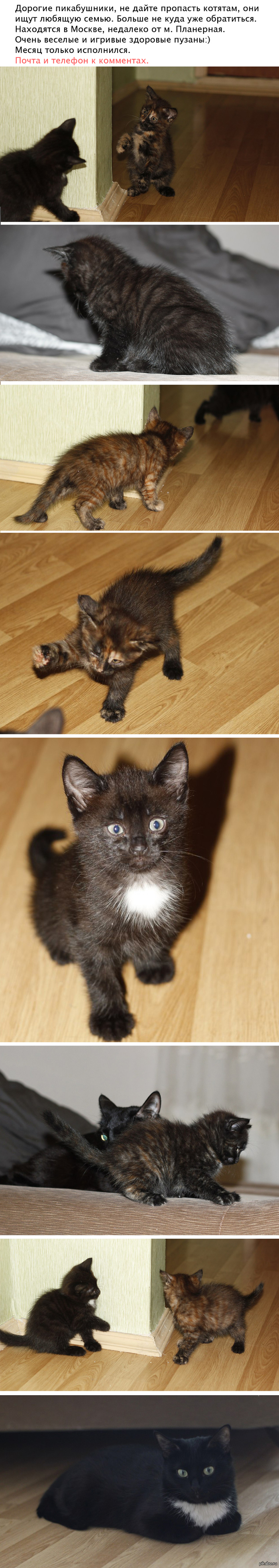 ���� ����� � ���� � ���:)  ����������.