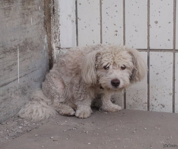 ������� ������ � ������ �� ��. ��������� ������� �.6 ����.5