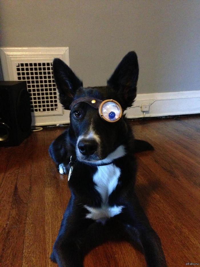 Джентельмен