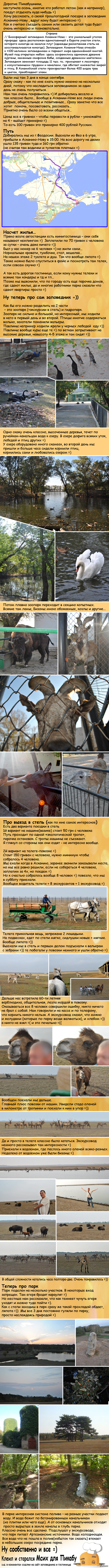 ���������� �������-����