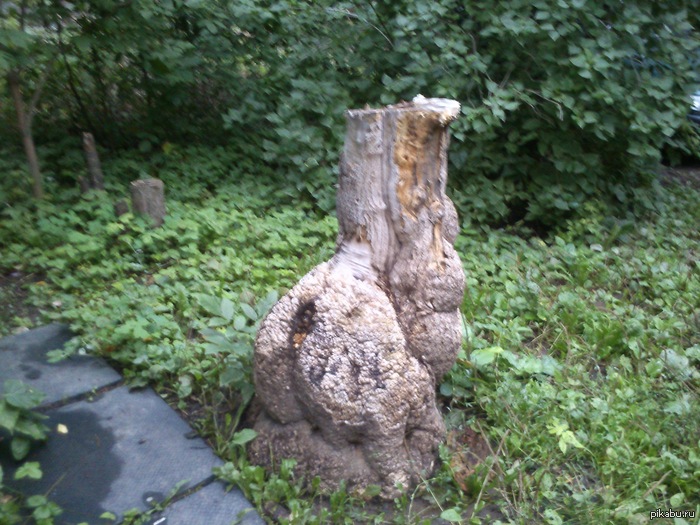 � �� ������... � �� ������... ��� ����� ���� ����...