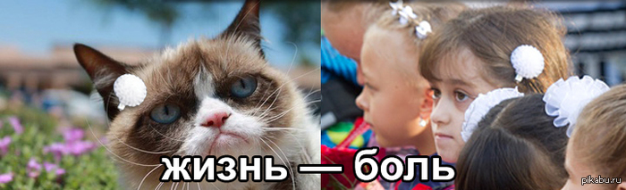 ������� 11 ��� ������������ ������� � ������ ��*��.