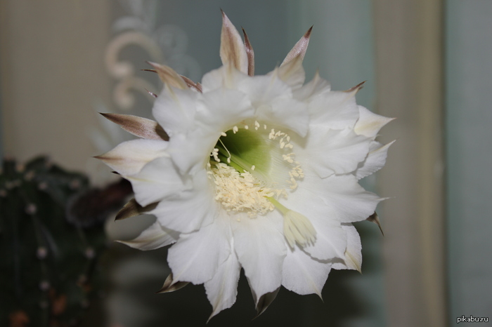 �������� ������