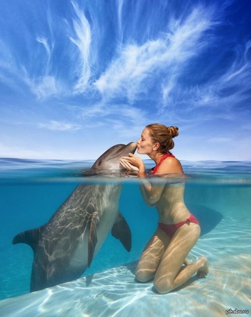 Milota - Dolphin, Girls, Kiss, Water, Sea