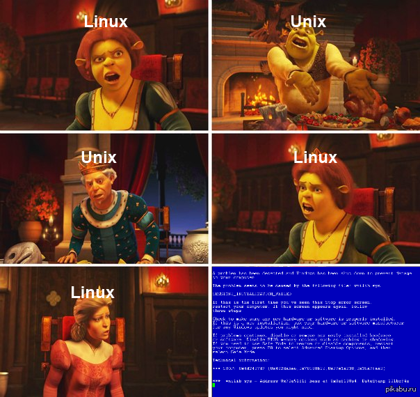Windows!   )