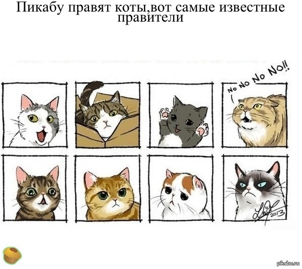 Нарисовать мемы с котами